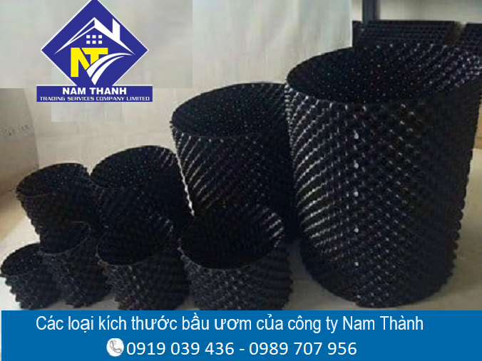 Báo giá bầu ươm cây mới nhất năm 2025