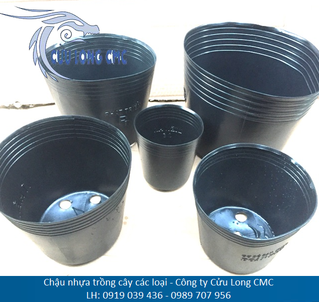 chậu nhựa trồng cây