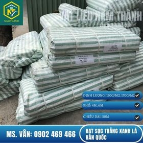 BẠT SỌC TRẮNG XANH LÁ HÀN QUỐC