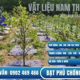 BẠT PHỦ ĐẤT CHỐNG CỎ