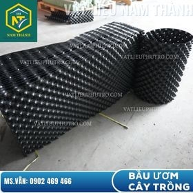 BẦU ƯƠM CÂY TRỒNG