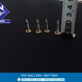 ĐINH VÀNG 2P