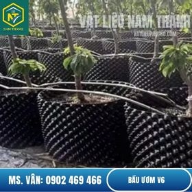 Bầu Ươm V6 Trồng Cây