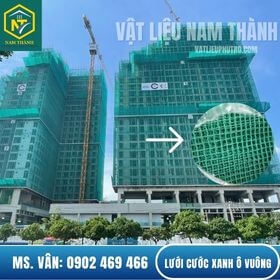 LƯỚI CƯỚC XANH