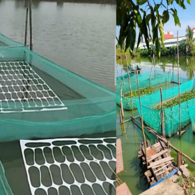 LƯỚI NHỰA  CHĂN NUÔI THỦY SẢN
