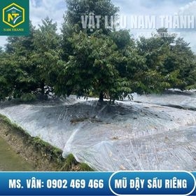 MỦ ĐẬY SẦU RIÊNG