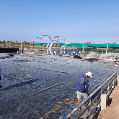 Báo giá bạt lót ao hồ nuôi tôm cá ở khu vực miền Tây