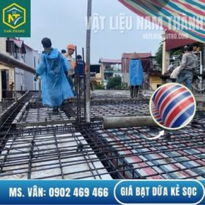 GIÁ BẠT DỨA KẺ SỌC MỚI NHẤT 2025