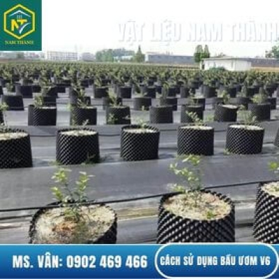 Cách Sử Dụng Bầu Ươm V6 Giúp Cây Nhanh Ra Rễ, Không Chết Cây