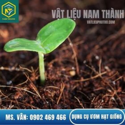 Dụng Cụ Ươm Hạt Giống Và Kỹ Thuật Ươm Cho Tỷ Lệ Nảy Mầm Cao