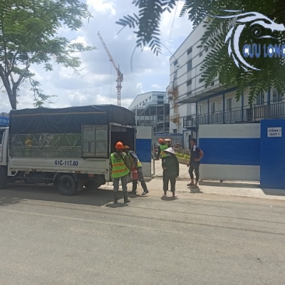 Giao hàng số lượng lớn con kê bê tông cho công trình ở khu chế xuất Tân Thuận quận 7