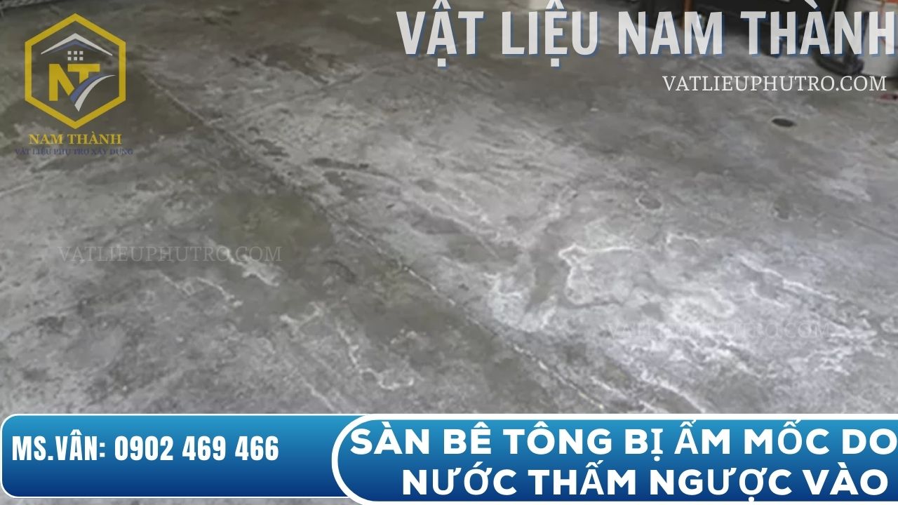 Sàn bê tông bị ẩm mốc do thấm nước từ dưới nền đất, ảnh hưởng độ bền và thẩm mỹ công trình – Vật tư Nam Thành