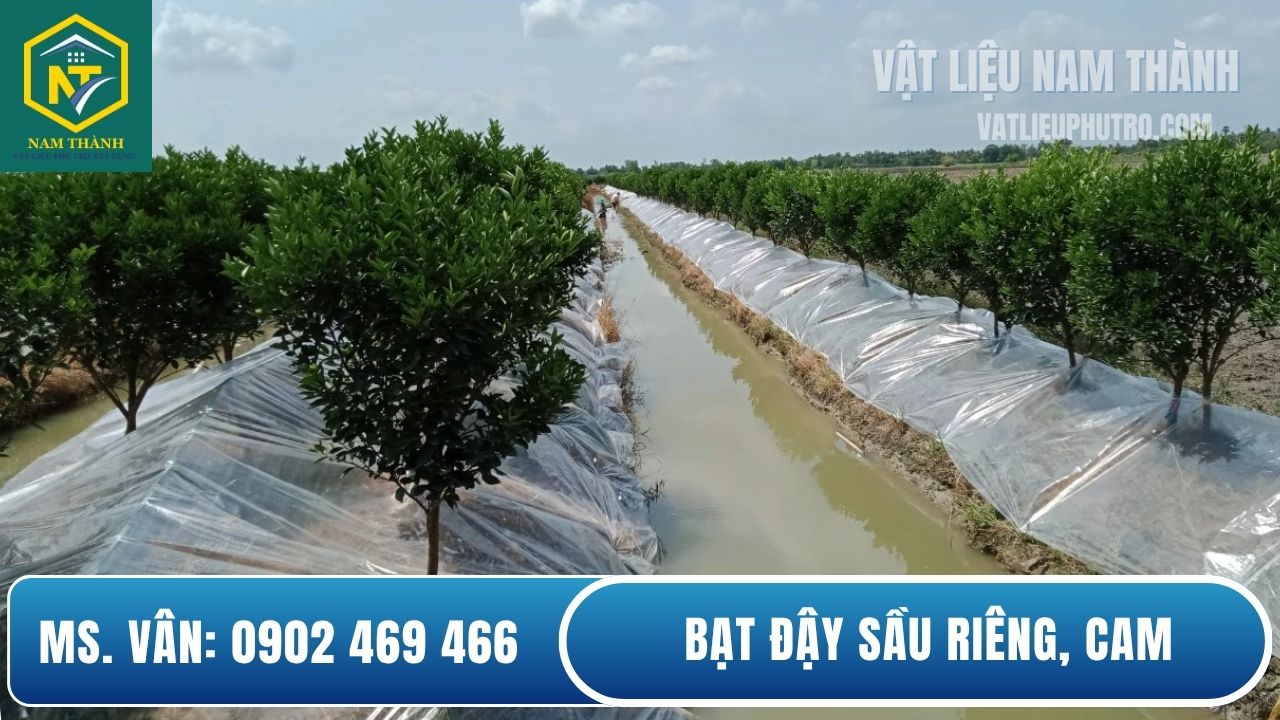 Công dụng của nilon lót sầu riêng