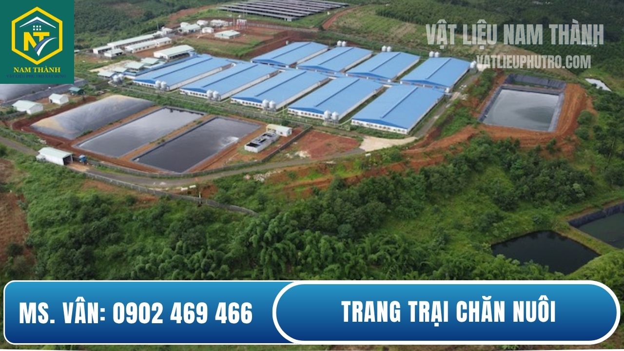 Bạt HDPE lót hồ xử lý trang trại chăn nuôi