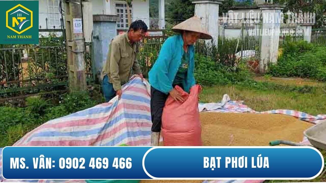 Bạt phơi lúa giá rẻ