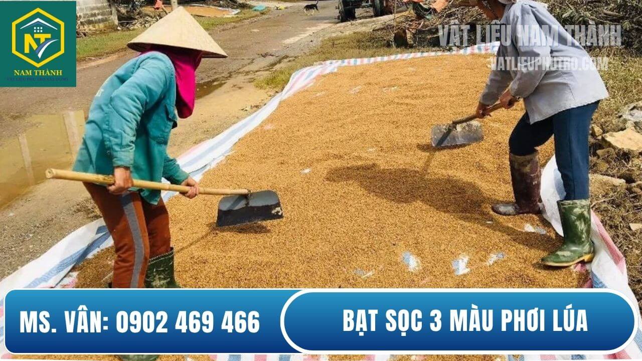 Bạt sọc 3 màu phơi lúa