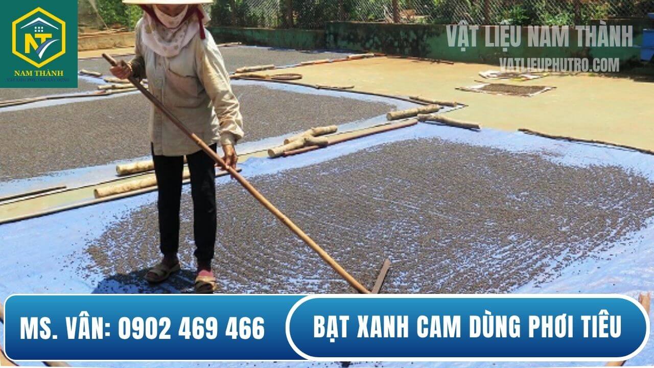 Bạt xanh cam dùng phơi tiêu