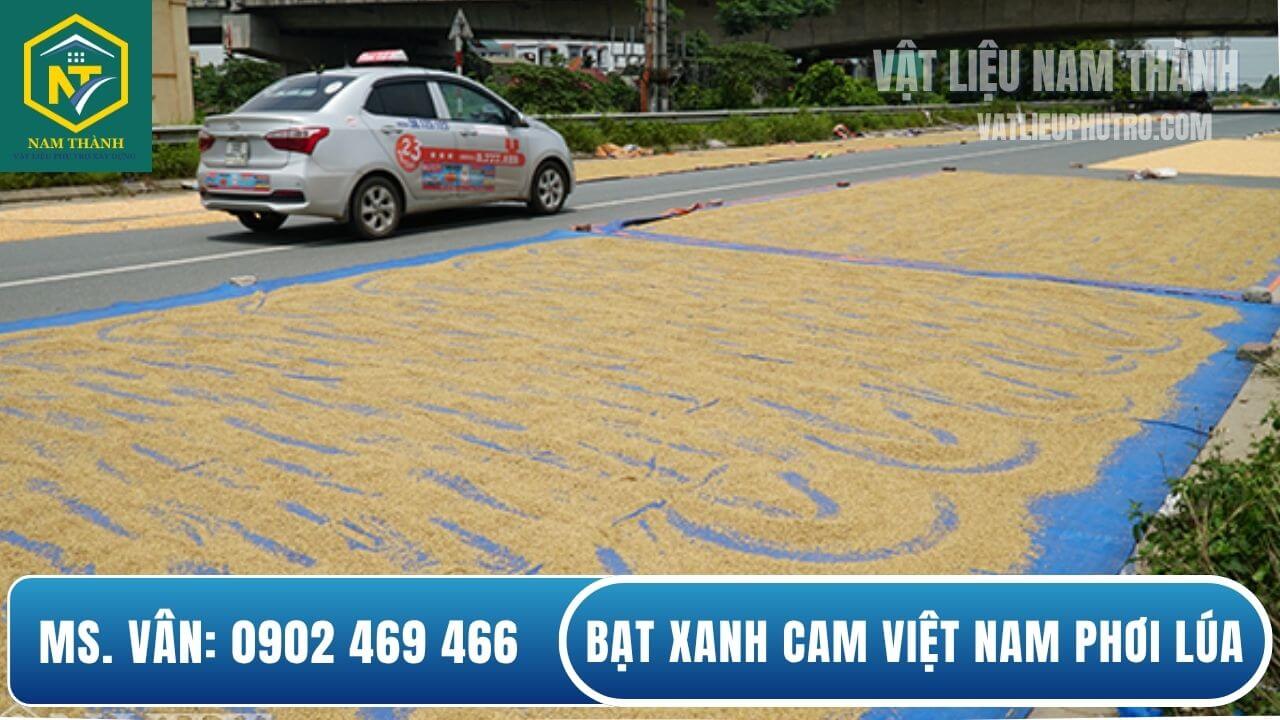 Bạt xanh cam Việt Nam phơi lúa