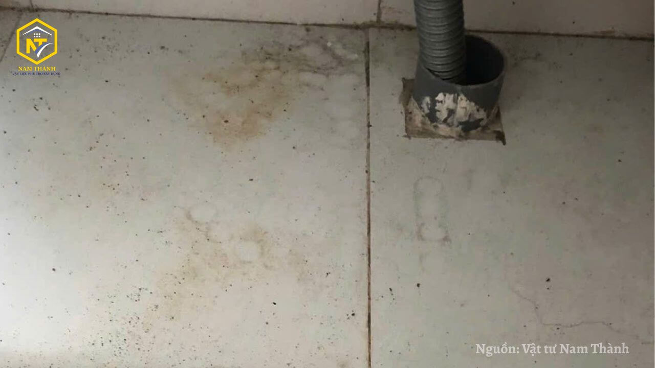 Căn nhà liên tục thấm mưa, dột nát khiến nội thất, đồ gỗ trong nhà bị hư hỏng, ăn mòn