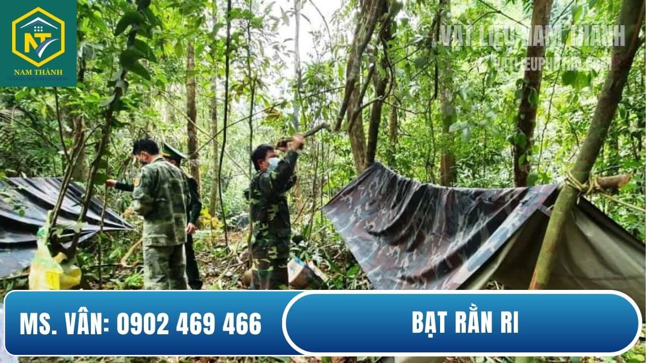 Bạt rằn ri là gì?