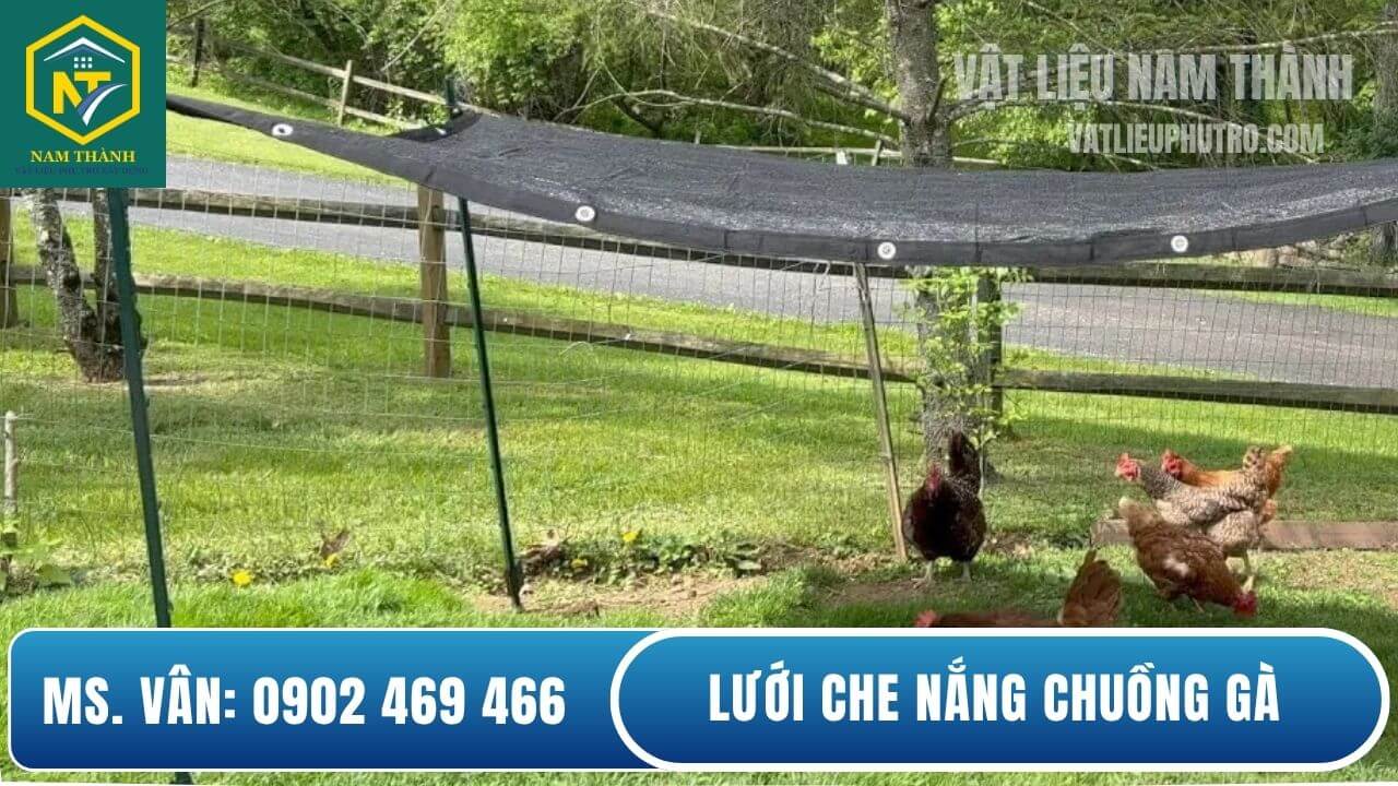 Lưới che nắng chuồng gà