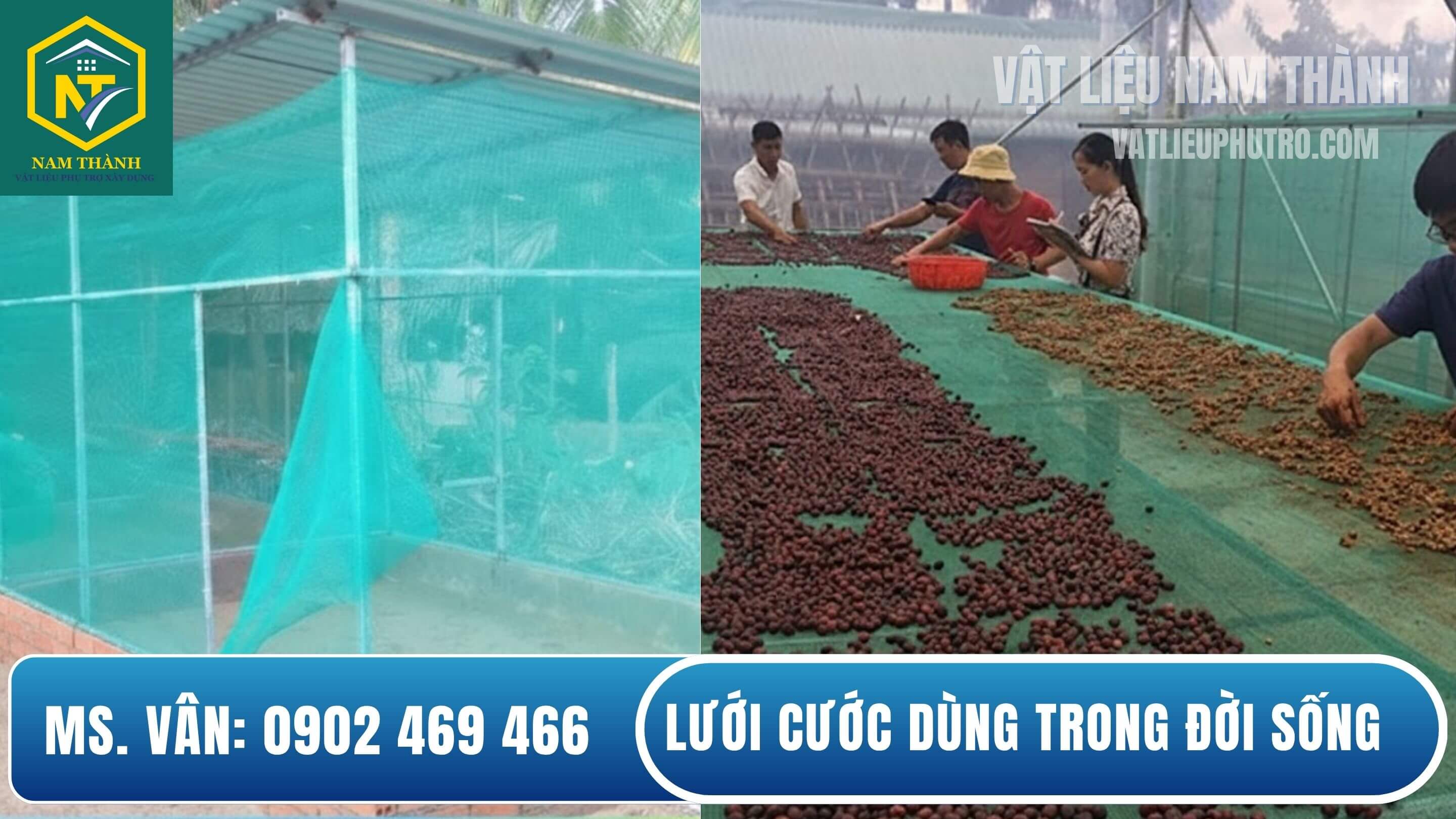 Lưới cước xanh trong đời sống