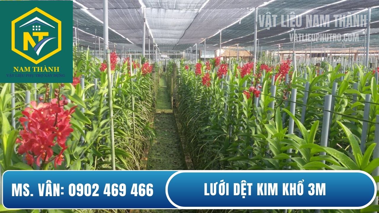 Lưới Đài Loan khổ 3m