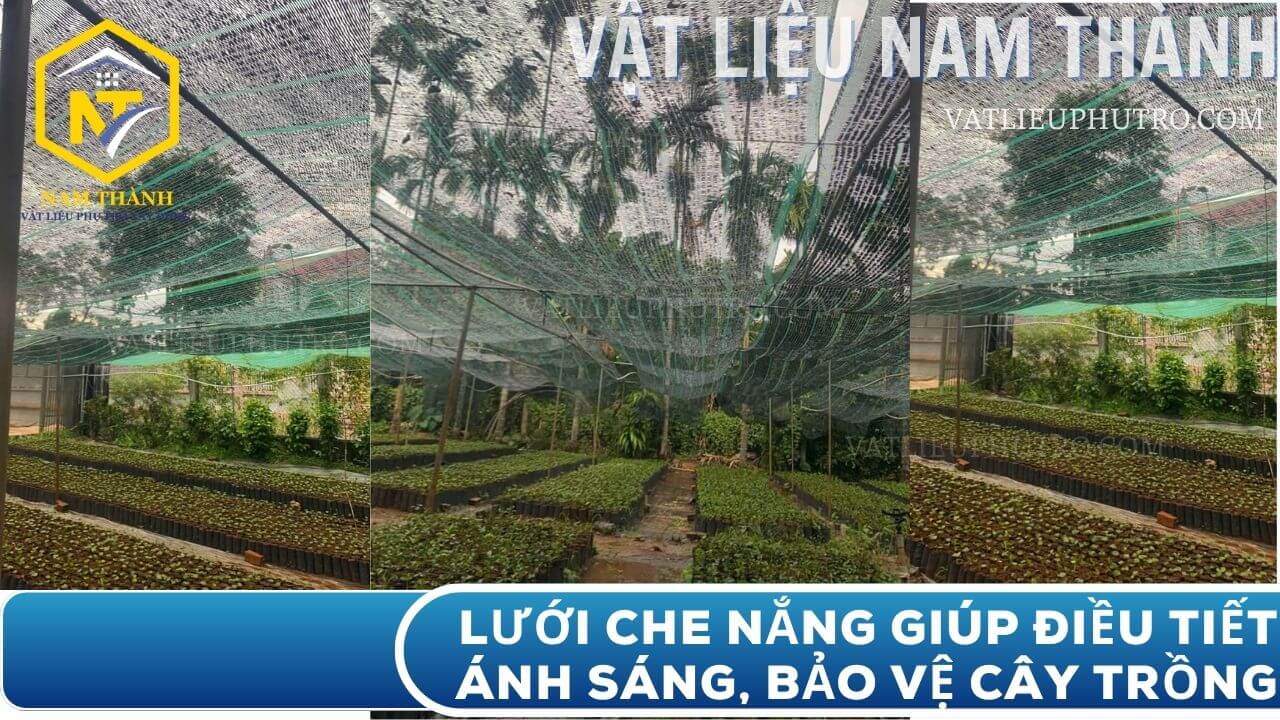 T&aacute;c dụng của lưới che nắng, chống nắng